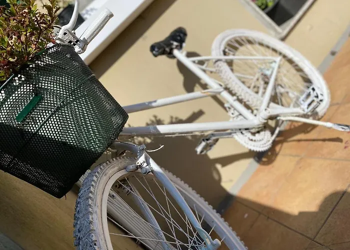 Asento * Villanueva De Arosa